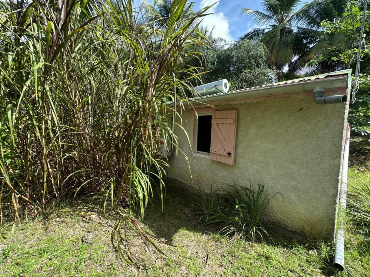 Gwada Reves Villa Sainte-Anne  Exterior photo