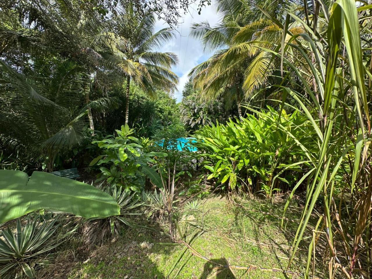 Gwada Reves Villa Sainte-Anne  Exterior photo