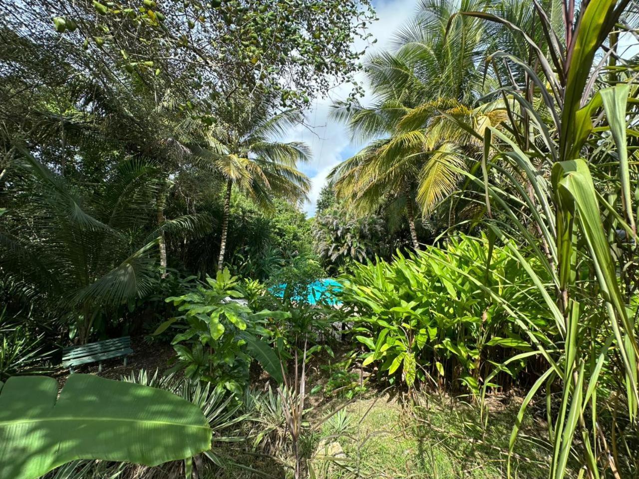 Gwada Reves Villa Sainte-Anne  Exterior photo