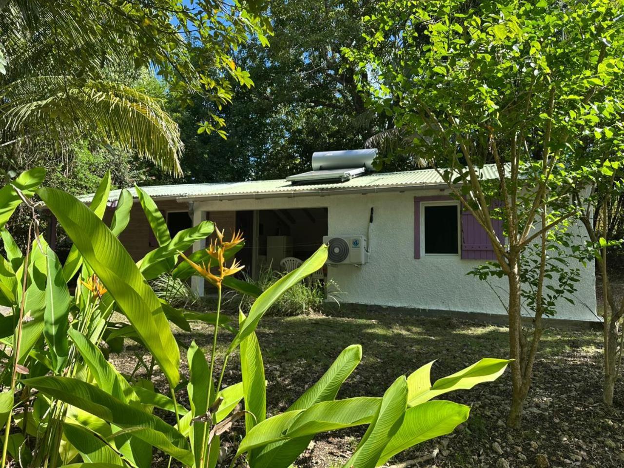 Gwada Reves Villa Sainte-Anne  Exterior photo